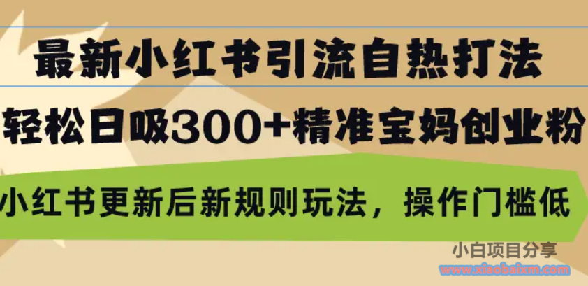 最新小红书引流自热打法，轻松日吸300 精准宝妈创业粉，小红书更新后新…-小白项目分享网