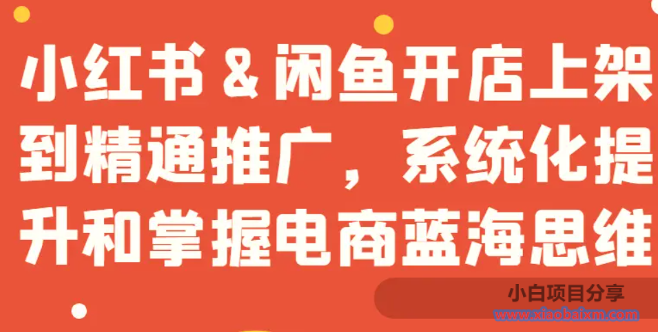 小红书&闲鱼开店上架到精通推广，系统化提升和掌握电商蓝海思维-小白项目分享网