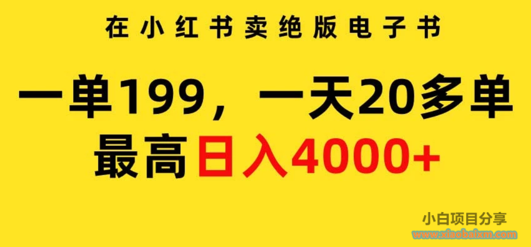 在小红书卖绝版电子书，一单199 一天最多搞20多单，最高日入4000+教程+资料-小白项目分享网