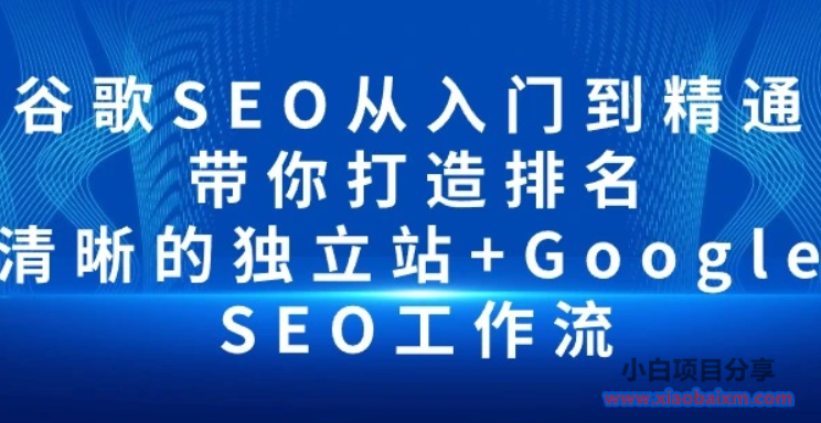 谷歌SEO从入门到精通 带你打造排名 清晰的独立站 Google SEO工作流-小白项目分享网