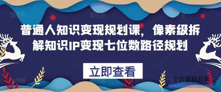 普通人知识变现规划课，像素级拆解知识IP变现七位数路径规划-小白项目分享网