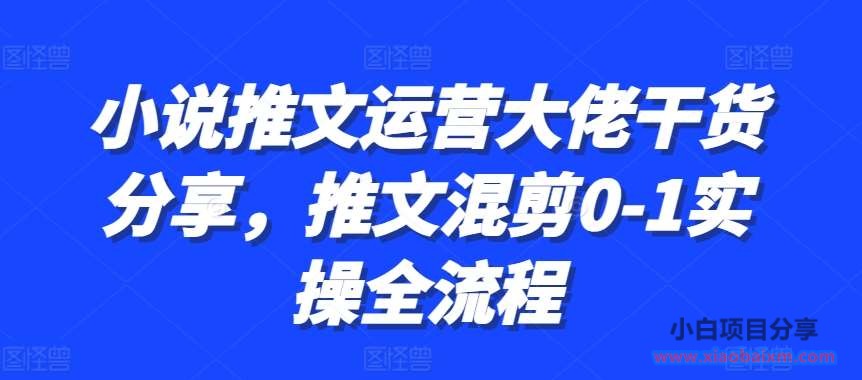 小说推文运营大佬干货分享，推文混剪0-1实操全流程-小白项目分享网