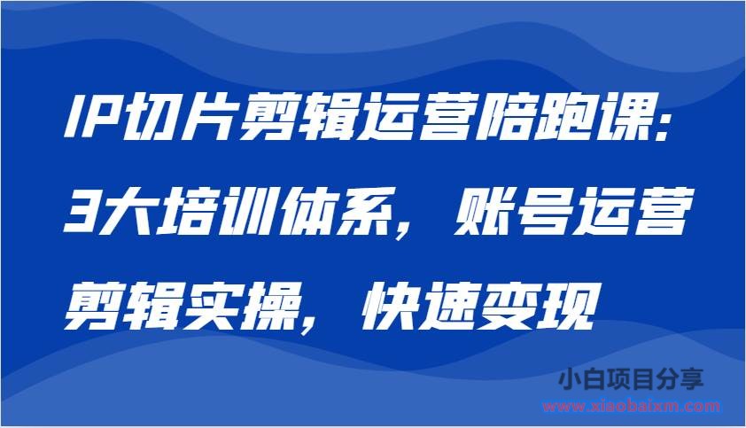 IP切片剪辑运营陪跑课，3大培训体系：账号运营 剪辑实操 快速变现-小白项目分享网