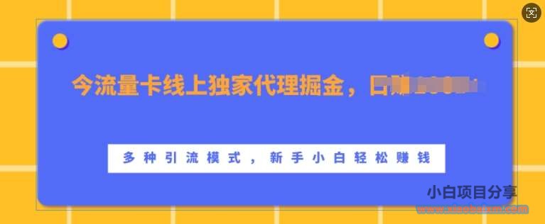 流量卡线上独家代理掘金，日入1k+ ，多种引流模式，新手小白轻松上手【揭秘】-小白项目分享网