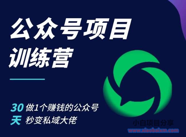 公众号项目训练营，30天做1个赚钱的公众号，秒变私域大佬-小白项目分享网