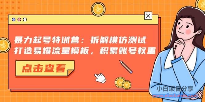 （13184期）暴力起号特训营：拆解模仿测试，打造易爆流量模板，积累账号权重-小白项目分享网