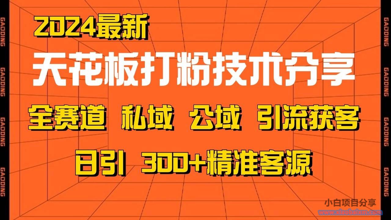 天花板打粉技术分享，野路子玩法 曝光玩法免费矩阵自热技术日引2000+精准客户-小白项目分享网