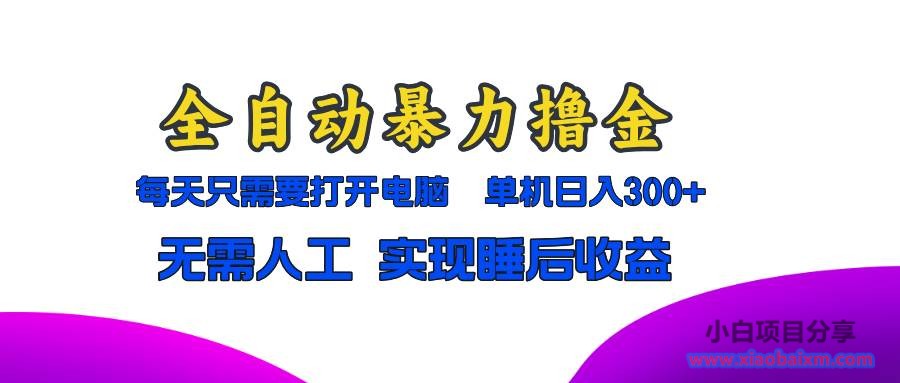 （13186期）全自动暴力撸金，只需要打开电脑，单机日入300+无需人工，实现睡后收益-小白项目分享网