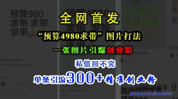 小红书“预算4980带我飞”图片打法，一张图片引爆创业粉，私信回不完，单条引流300+精准创业粉-小白项目分享网