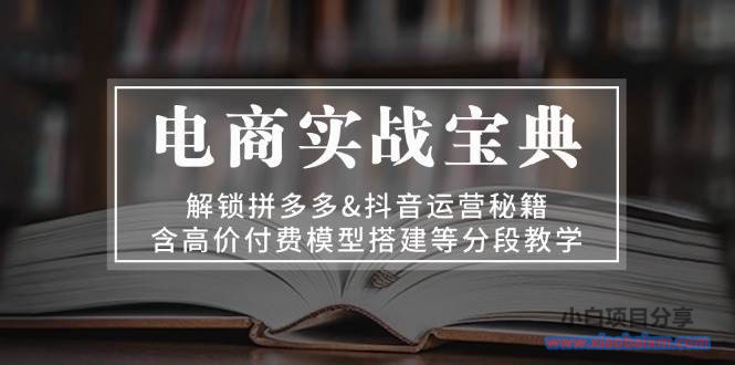 （13195期）电商实战宝典 解锁拼多多&抖音运营秘籍 含高价付费模型搭建等分段教学-小白项目分享网