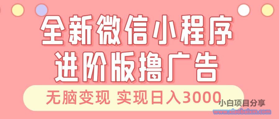 （13197期）全新微信小程序进阶版撸广告 无脑变现睡后也有收入 日入3000＋-小白项目分享网