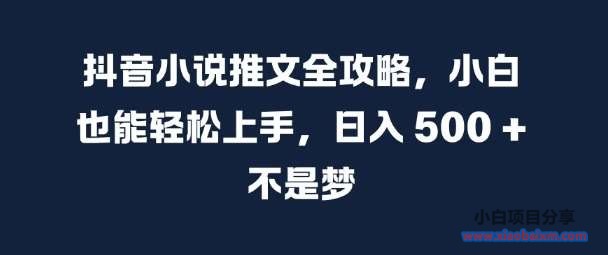 抖音小说推文全攻略，小白也能轻松上手，日入 5张+ 不是梦【揭秘】-小白项目分享网