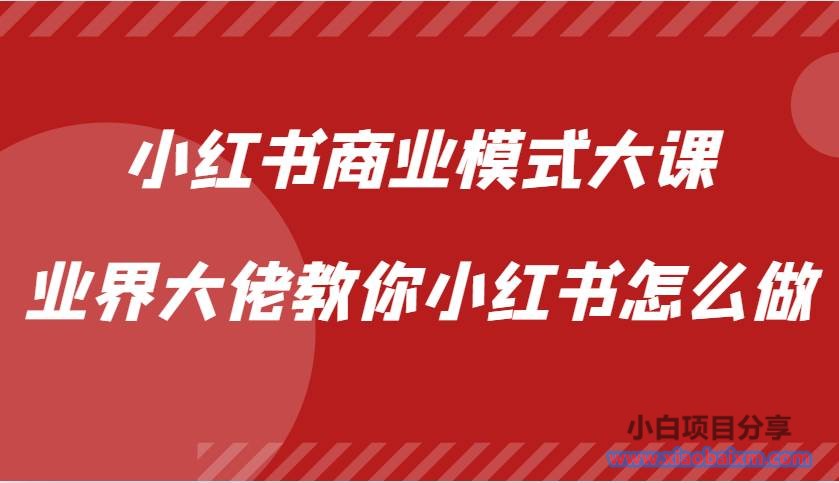 小红书商业模式大课，业界大佬教你小红书怎么做【视频课】-小白项目分享网