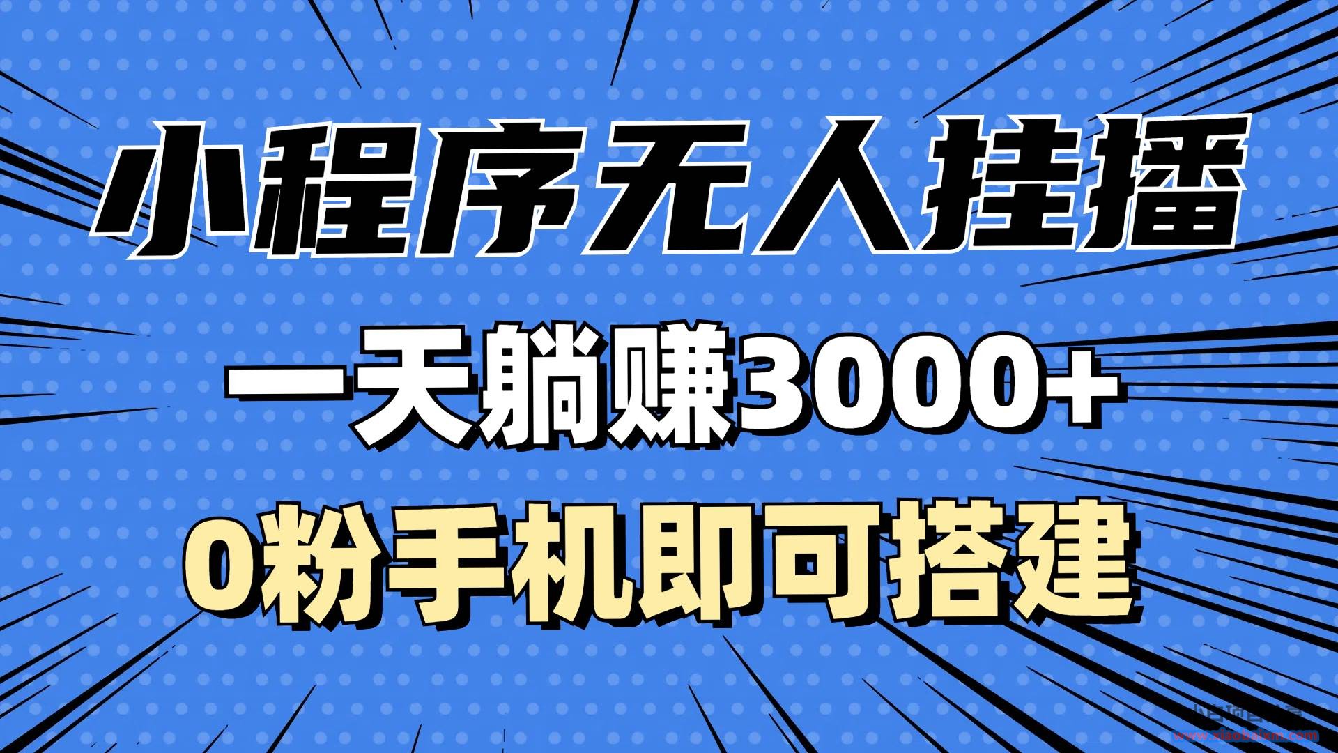 （13210期）抖音小程序无人直播，一天躺赚3000+，0粉手机可搭建，不违规不限流，小…-小白项目分享网