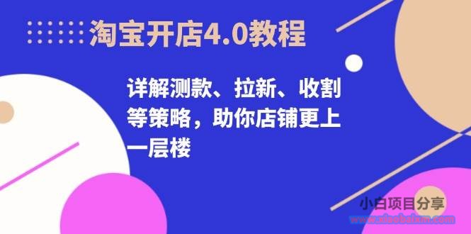 （13202期）淘宝开店4.0教程，详解测款、拉新、收割等策略，助你店铺更上一层楼-小白项目分享网