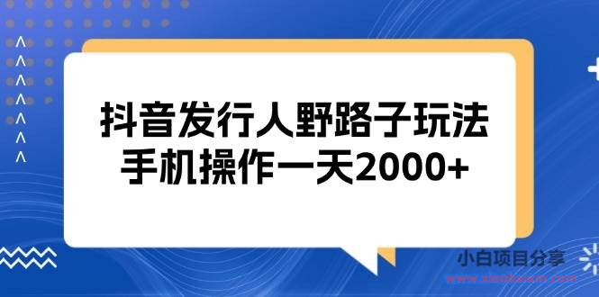 （13220期）抖音发行人野路子玩法，手机操作一天2000+-小白项目分享网