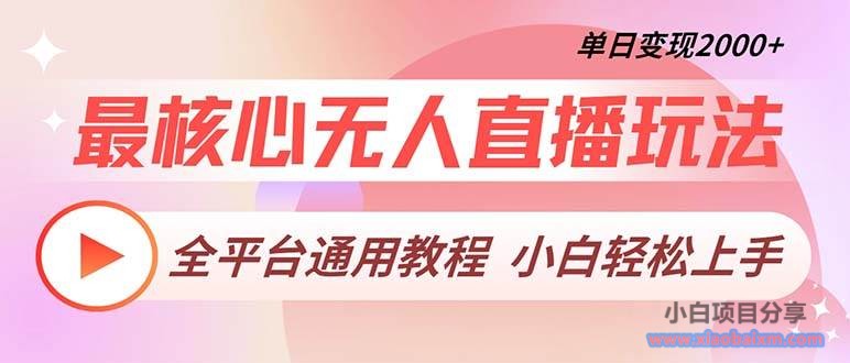 （13221期）最核心无人直播玩法，全平台通用教程，单日变现2000+-小白项目分享网