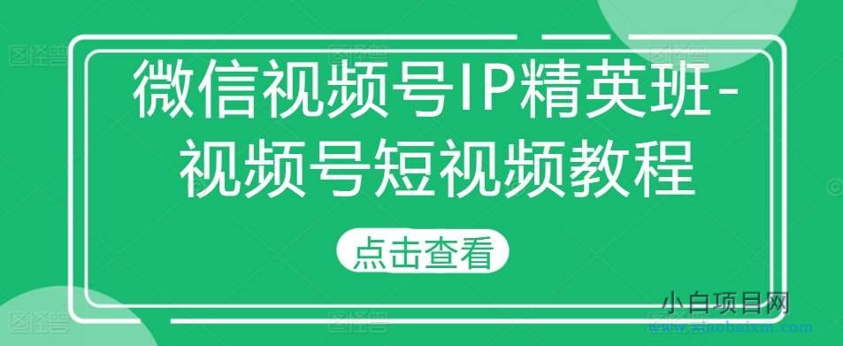 微信视频号IP精英班-特邀分享+CEO直播+精英分享，揭秘视频号变现秘诀-小白项目分享网