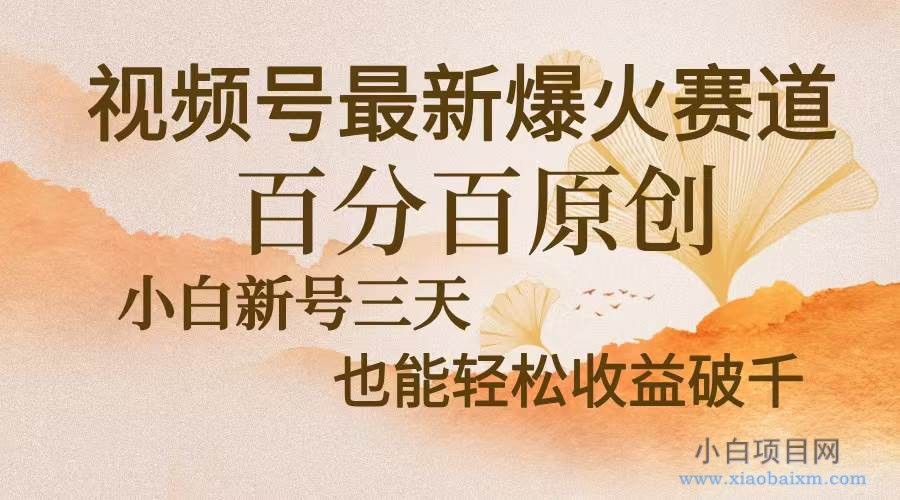 （13225期）视频号最新爆火赛道，中老年粉深信不疑，百分百原创，新号三天收益轻松-小白项目分享网