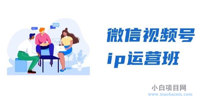 （13228期）微信视频号ip运营班：特邀分享+CEO直播+精英分享，揭秘视频号变现秘诀-小白项目分享网