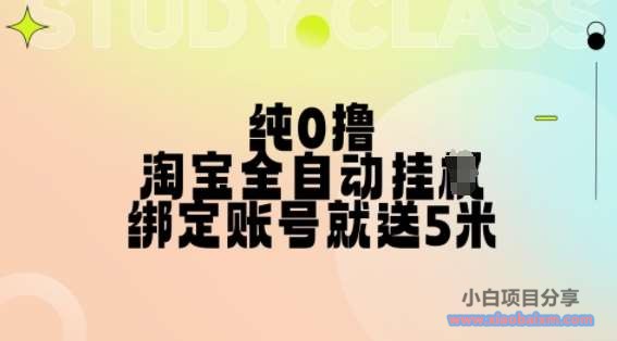 纯0撸，淘宝全自动挂机，授权登录就得5米，多号多赚【揭秘】-小白项目分享网