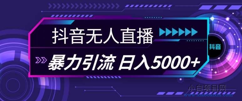 抖音快手视频号全平台通用无人直播引流法，利用图片模板和语音话术，暴力日引流100+创业粉【揭秘】-小白项目分享网