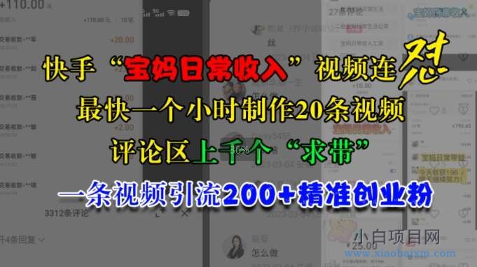 快手“宝妈日常收入”视频连怼，一个小时制作20条视频，评论区上千个“求带”，一条视频引流200+精准创业粉-小白项目分享网