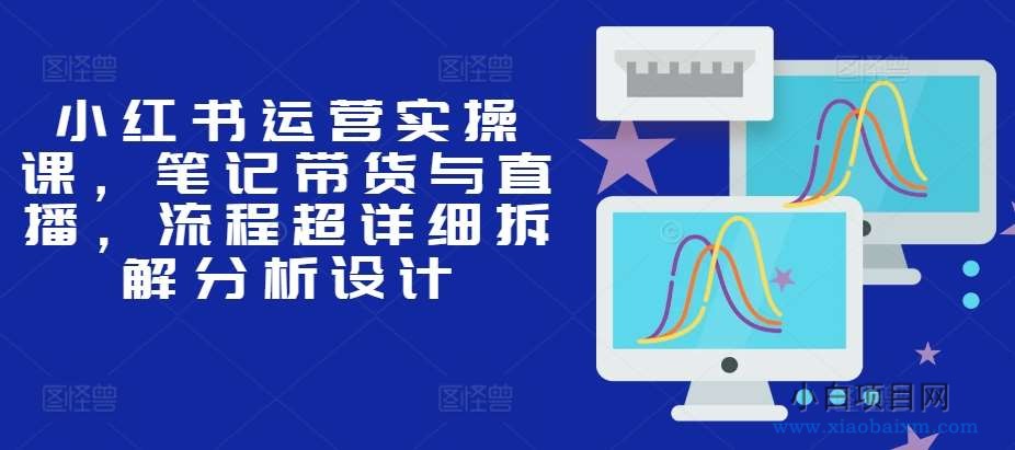 小红书运营实操课，笔记带货与直播，流程超详细拆解分析设计-小白项目分享网