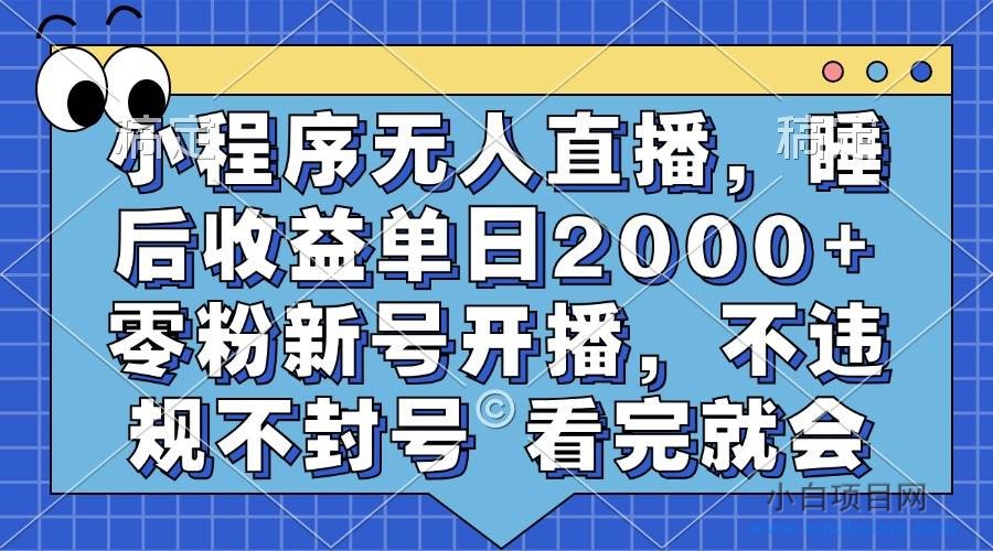 （13251期）小程序无人直播，睡后收益单日2000+ 零粉新号开播，不违规不封号 看完就会-小白项目分享网