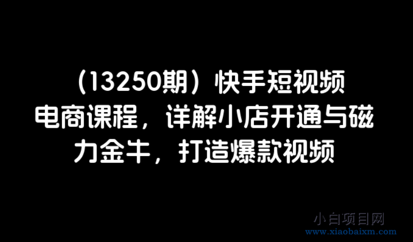 （13250期）快手短视频电商课程，详解小店开通与磁力金牛，打造爆款视频-小白项目分享网