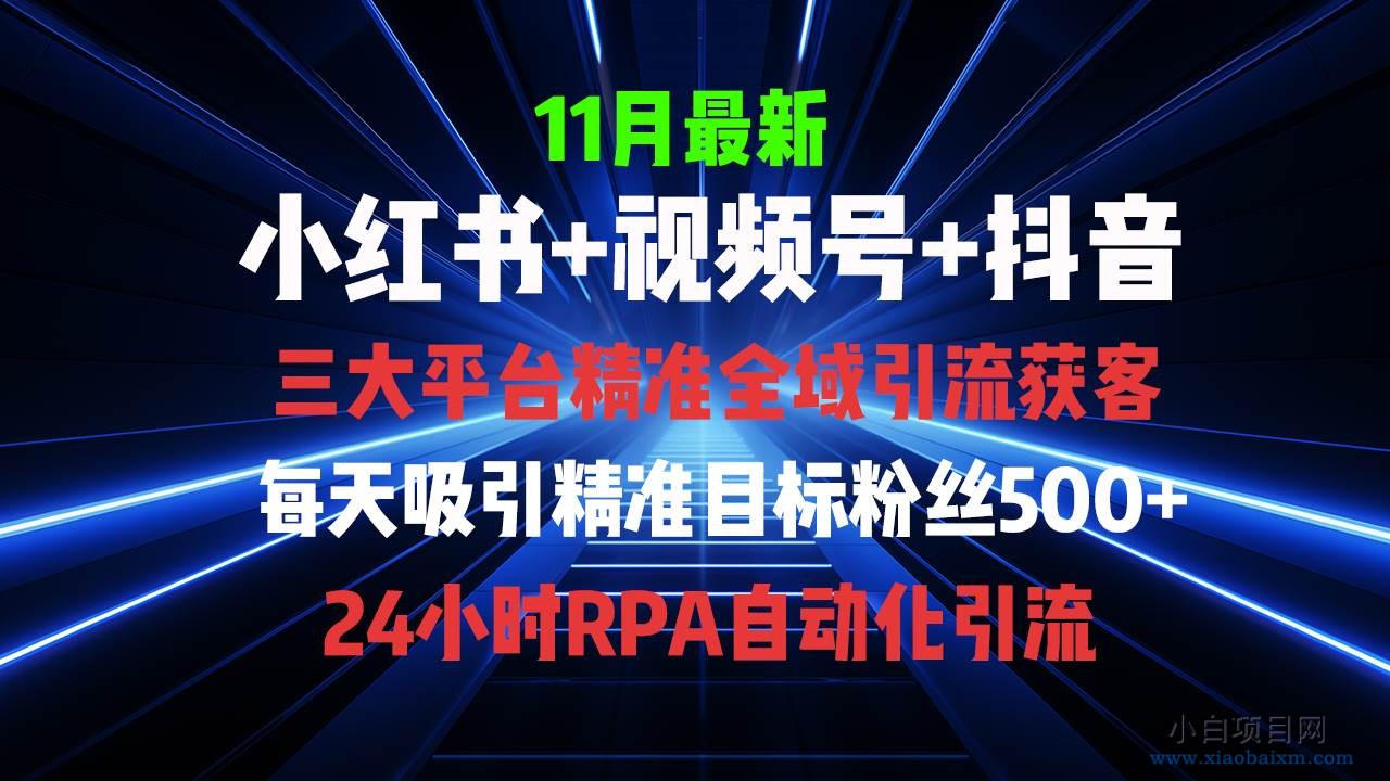 全域多平台引流私域打法，小红书，视频号，抖音全自动获客，截流自…-小白项目分享网