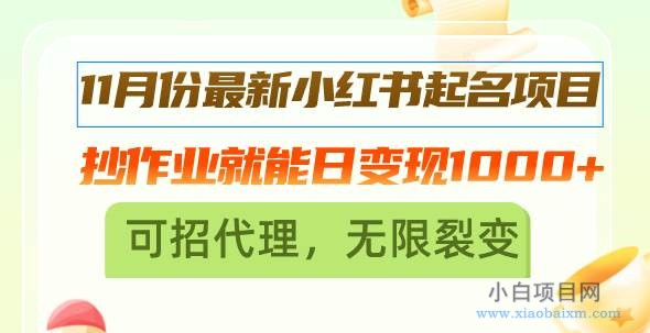 11月份最新小红书起名项目，抄作业就能日变现1000+，可招代理，无限裂变-小白项目分享网