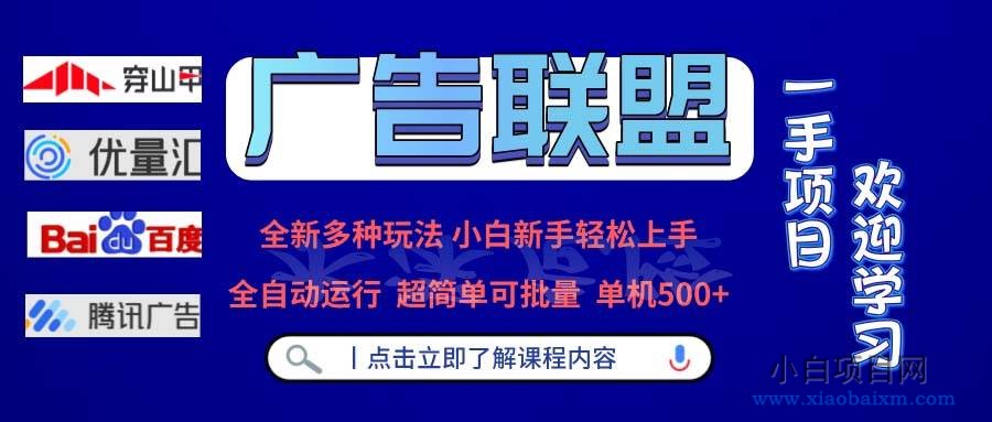 广告联盟 全新多种玩法 单机500+ 全自动运行 可批量运行-小白项目分享网