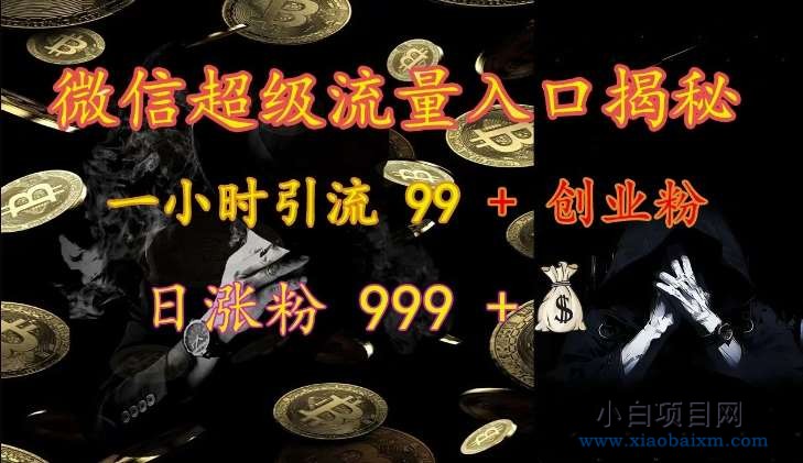 微信超级流量入口揭秘：一小时引流 99 + 创业粉，日涨粉 999 +-小白项目分享网