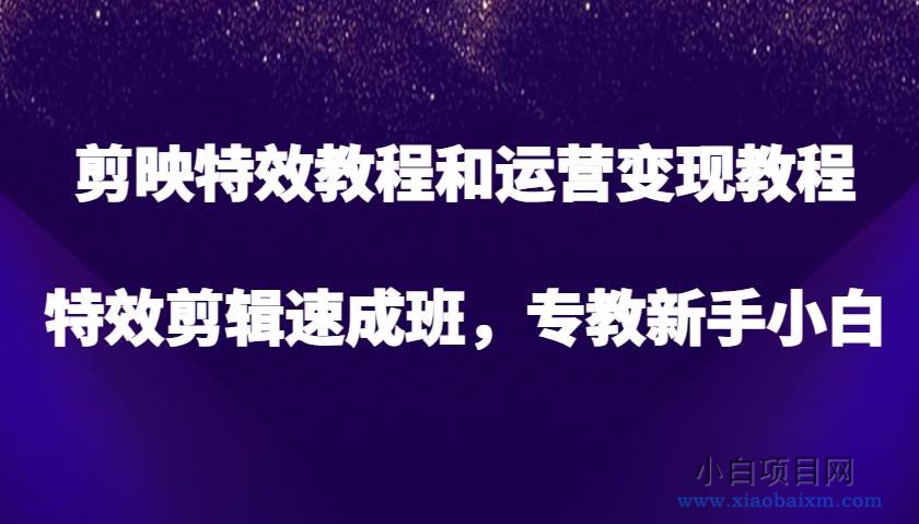 剪映特效教程和运营变现教程，特效剪辑速成班，专教新手小白-小白项目分享网