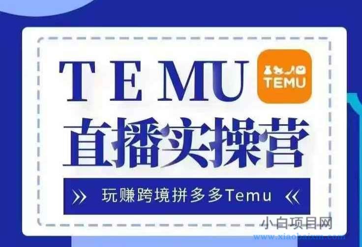 Temu直播实战营，玩赚跨境拼多多Temu，国内电商卷就出海赚美金-小白项目分享网