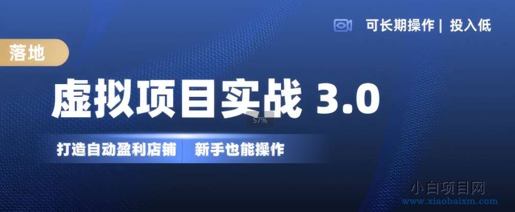 虚拟项目实战3.0，打造自动盈利店铺，可长期操作投入低，新手也能操作-小白项目分享网