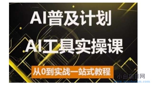 AI普及计划，2024AI工具实操课，从0到实战一站式教程-小白项目分享网