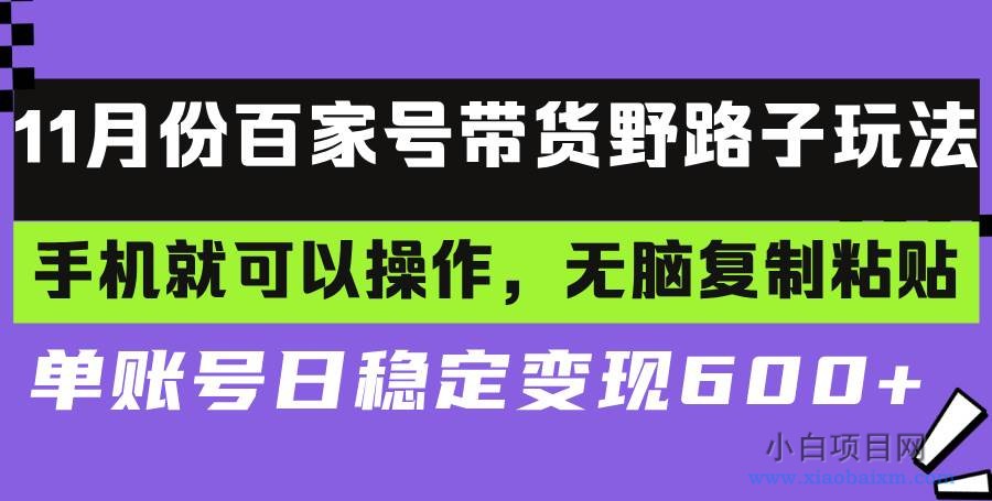 百家号带货野路子玩法 手机就可以操作，无脑复制粘贴 单账号日稳定变现…-小白项目分享网