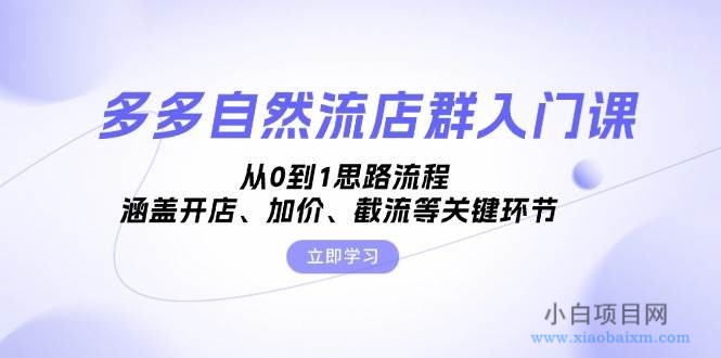 多多自然流店群入门课，从0到1思路流程，涵盖开店、加价、截流等关键环节-小白项目分享网