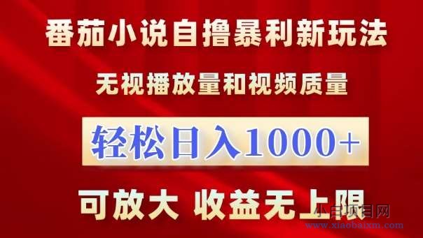 番茄小说自撸暴利新玩法，无视播放量，轻松日入1k，可放大，收益无上限【揭秘】-小白项目分享网