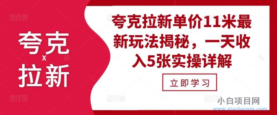 夸克拉新单价11米最新玩法揭秘，一天收入5张实操详解-小白项目分享网