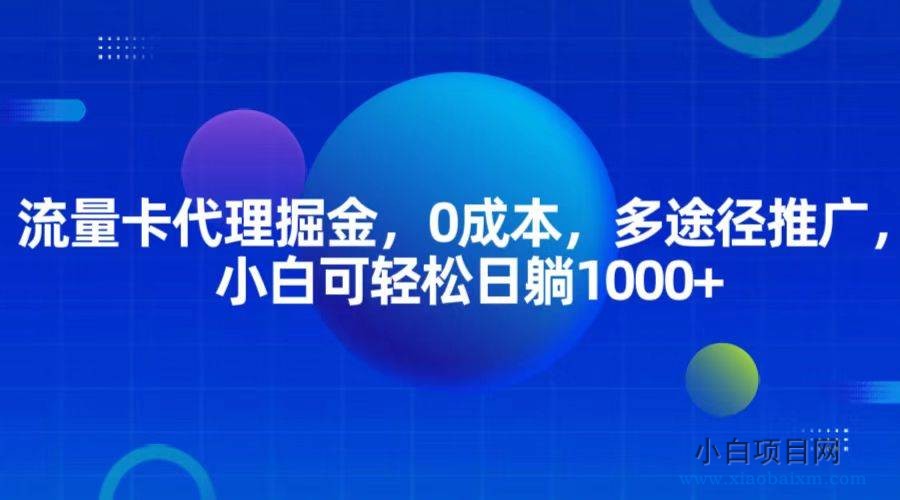 流量卡代理掘金，0成本，多途径推广，小白可轻松日躺1000+-小白项目分享网