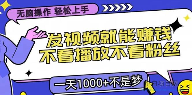无脑操作，只要发视频就能赚钱？不看播放不看粉丝，小白轻松上手，一天…-小白项目分享网