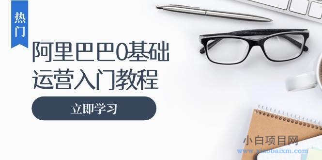 阿里巴巴运营零基础入门教程：涵盖开店、运营、推广，快速成为电商高手-小白项目分享网