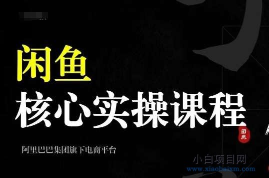 2024闲鱼核心实操课程，从养号、选品、发布、销售，教你做一个出单的闲鱼号-小白项目分享网