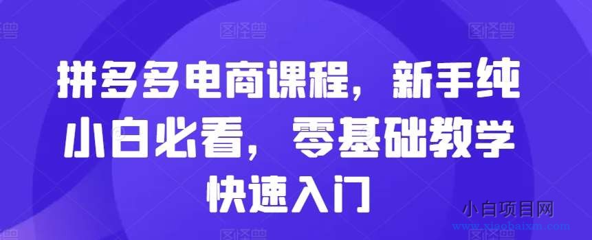 拼多多电商课程，新手纯小白必看，零基础教学快速入门-小白项目分享网