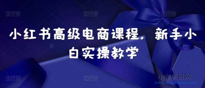 小红书高级电商课程，新手小白实操教学-小白项目分享网