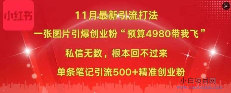 小红书11月最新图片打粉，一张图片引爆创业粉，“预算4980带我飞”，单条引流500+精准创业粉-小白项目分享网