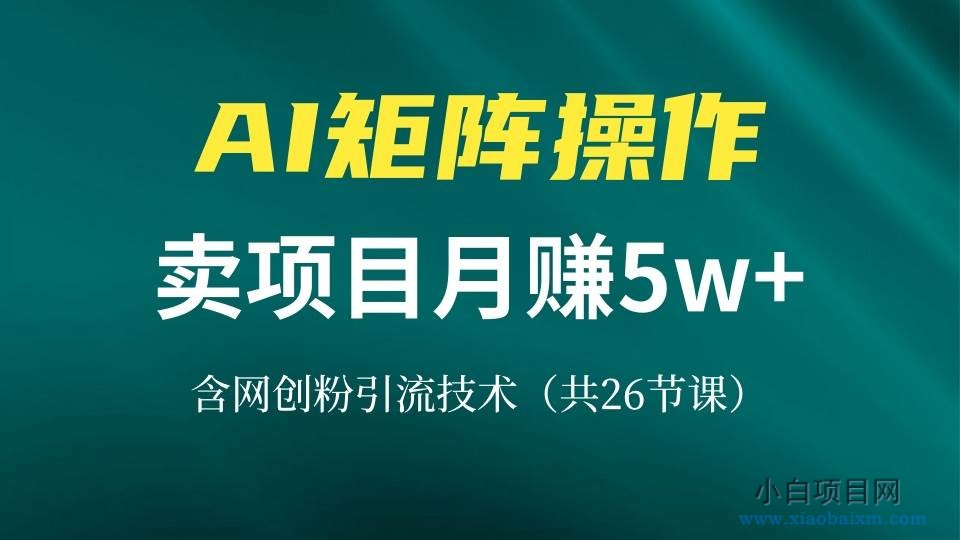 网创IP打造课，借助AI卖项目月赚5万+，含引流技术（共26节课）-小白项目分享网